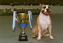 22 - Trouble Pokal 2.jpg